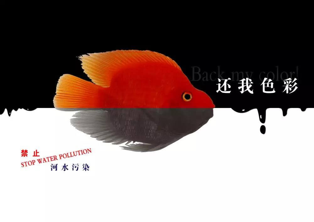 污水處理藥劑，污水處理，水處理